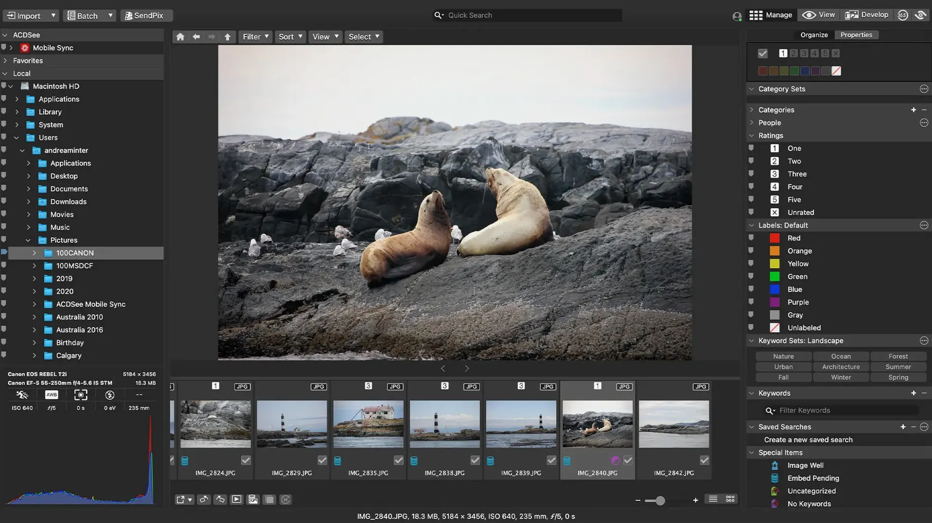 ACDSee Photo Studio preview 3 ACDSee Photo Studio 26.0.3 screenshot 3