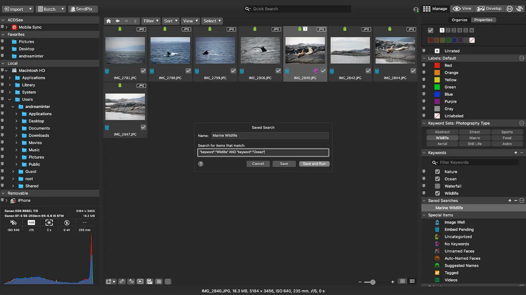 ACDSee Photo Studio preview 4 ACDSee Photo Studio 26.0.3 screenshot 4