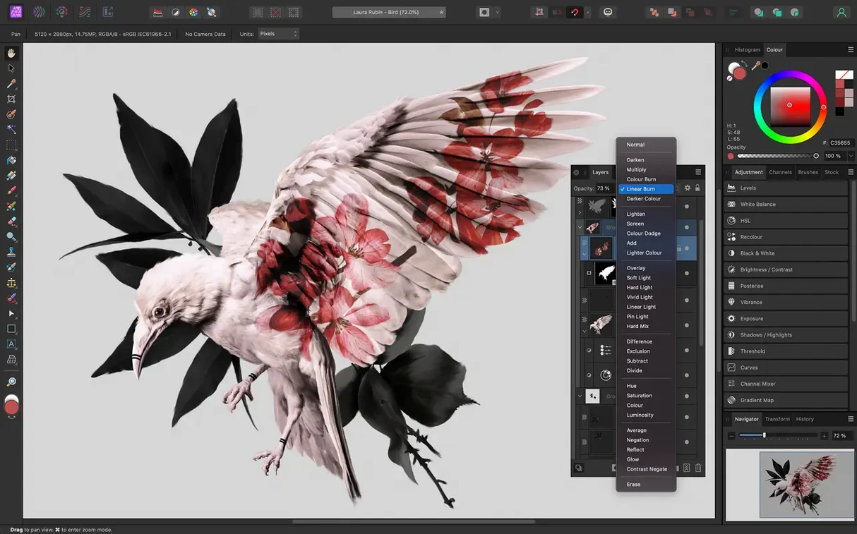 Affinity Photo: picture 2 of 4 Inside Affinity Photo, view 2