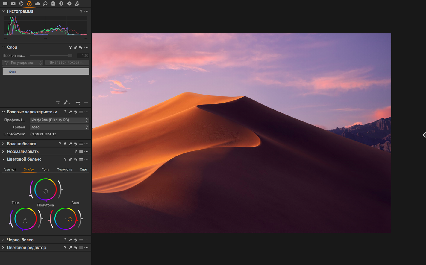Capture One preview 2 Capture One 16.8.6.25 screenshot 2