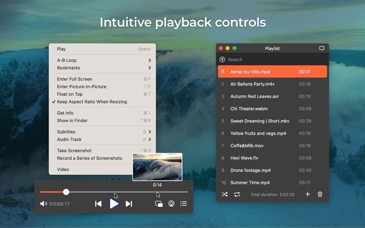 Elmedia Player Pro: picture 2 of 4 Inside Elmedia Player Pro, view 2