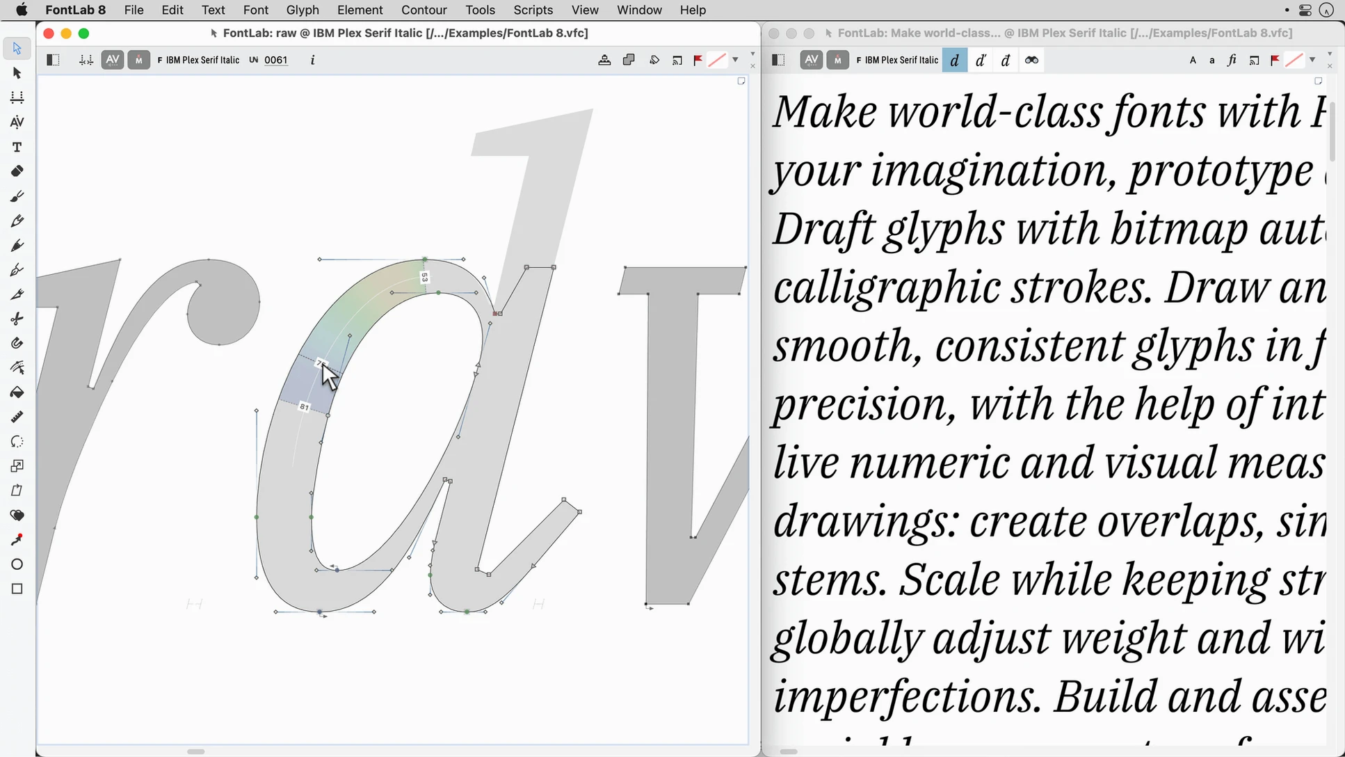 FontLab: picture 3 of 4 Inside FontLab, view 3