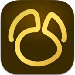 Navicat Premium for Mac icon