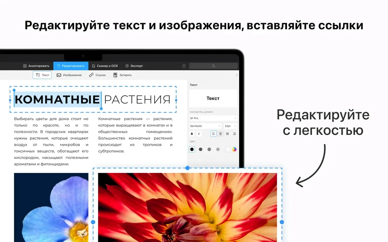 PDF Expert: picture 3 of 4 Inside PDF Expert, view 3
