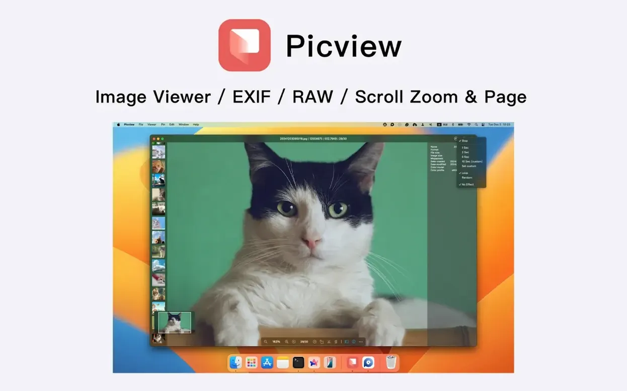 Picview - Image Viewer: picture 1 of 6 picview - image viewer torrent macos: primary view
