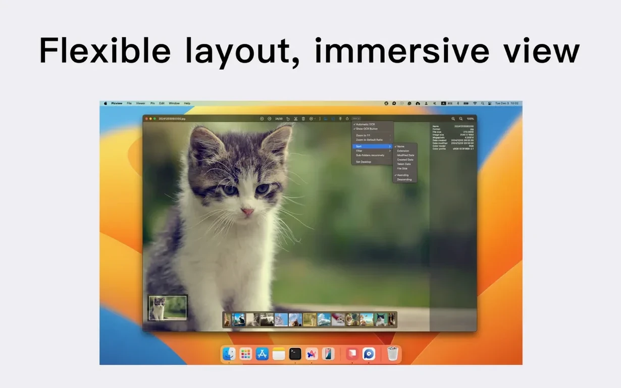 Picview - Image Viewer: picture 2 of 6 Inside Picview - Image Viewer, view 2