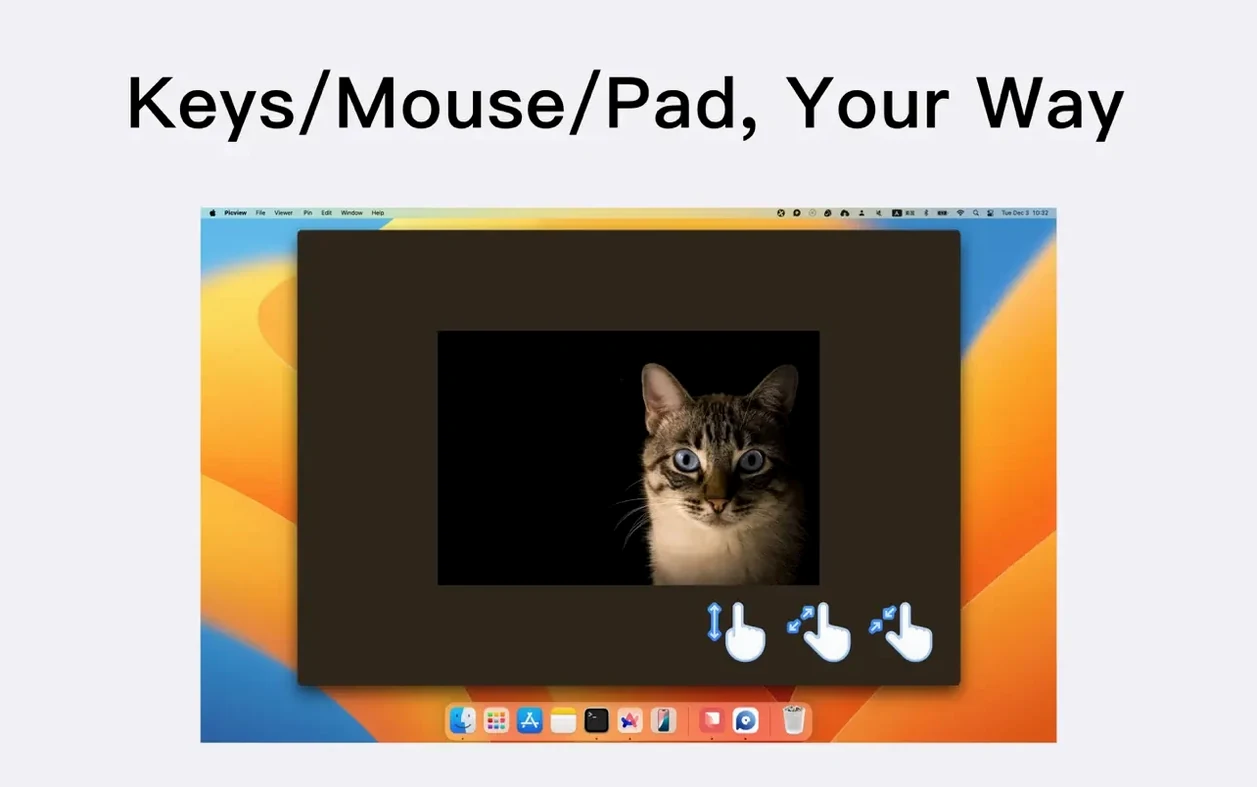 Picview - Image Viewer: picture 3 of 6 Inside Picview - Image Viewer, view 3