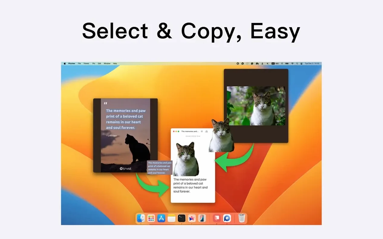 Picview - Image Viewer preview 6 Picview - Image Viewer 1.5.7 screenshot 6
