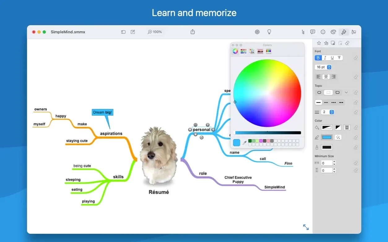 SimpleMind Pro preview 2 SimpleMind Pro 2.10.2 screenshot 2