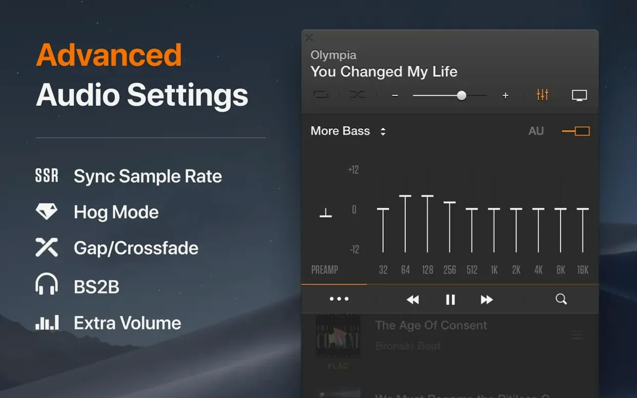 VOX: MP3 & FLAC Music Player: picture 2 of 4 Inside VOX: MP3 & FLAC Music Player, view 2