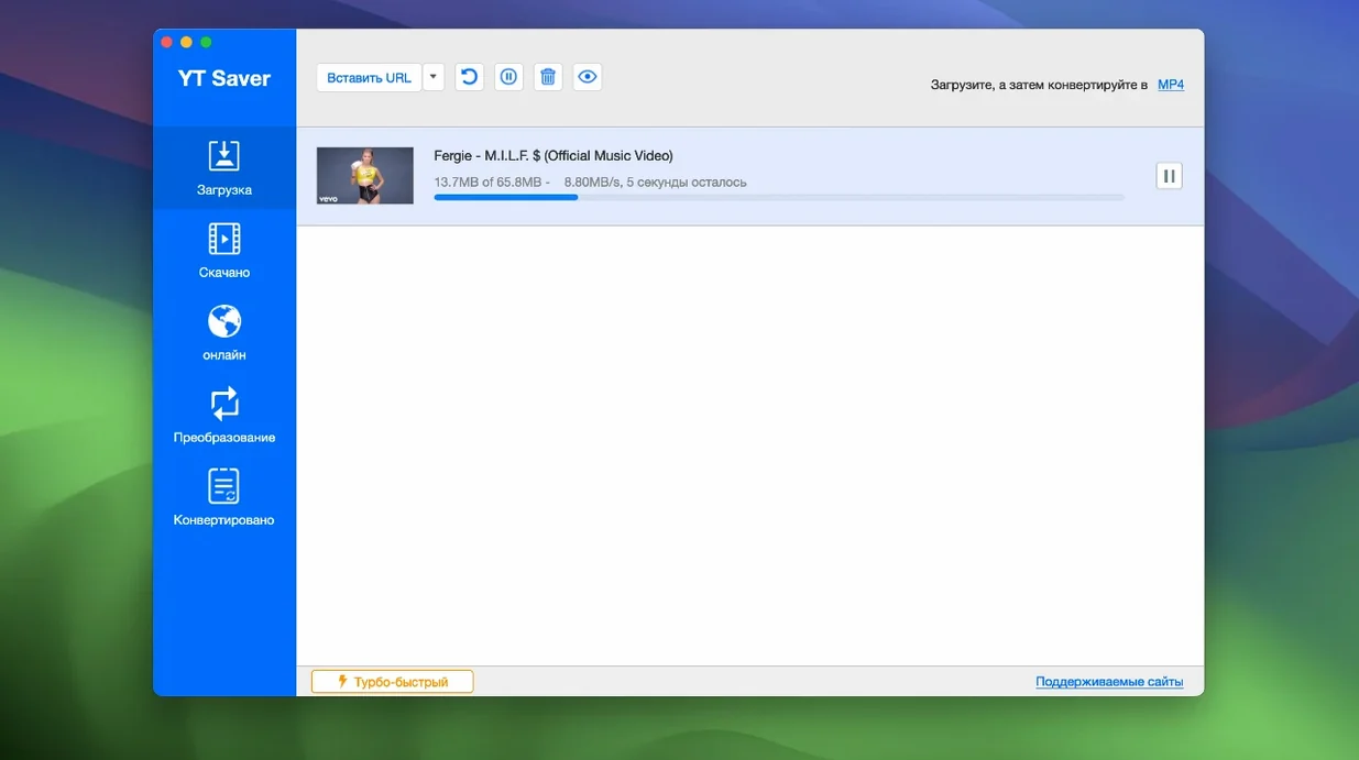 YT Saver: picture 2 of 3 Inside YT Saver, view 2